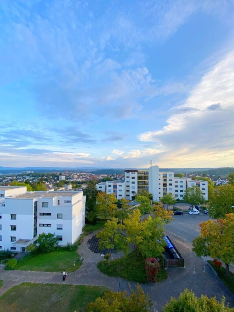 Ausblick