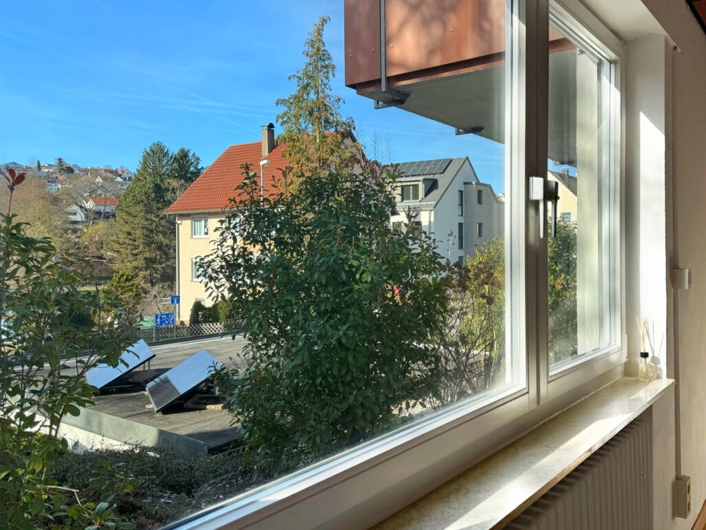 Ausblick