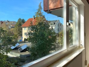 Ausblick