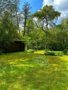 Traumhafter Garten