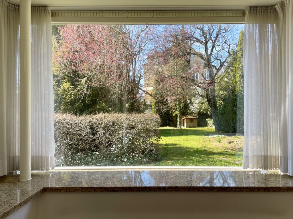 Blick ins Grüne