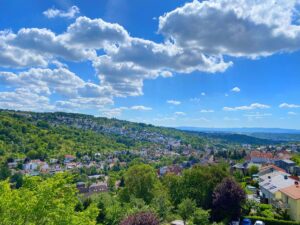 Ausblick