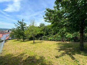 Gartenfläche
