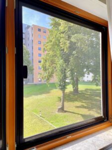 Ausblick