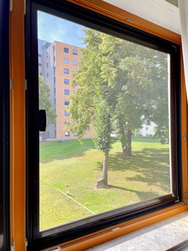 Ausblick