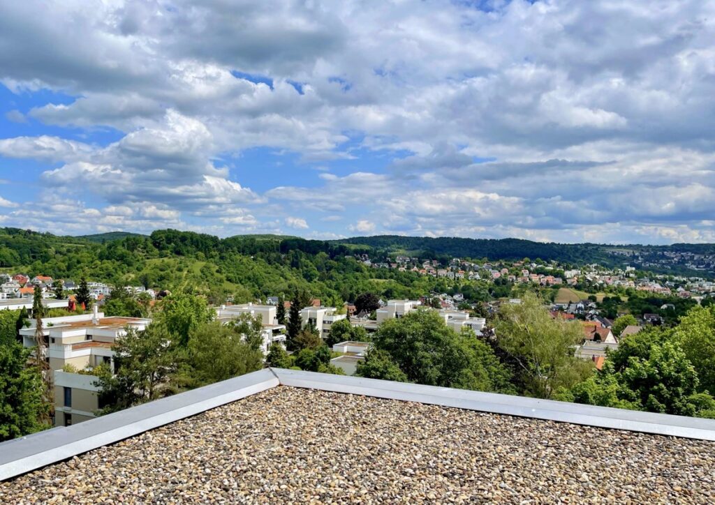 Ausblick