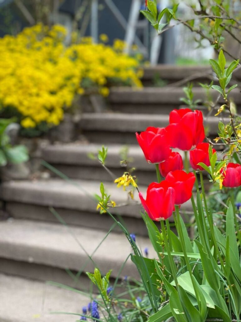 Treppe zum Haus