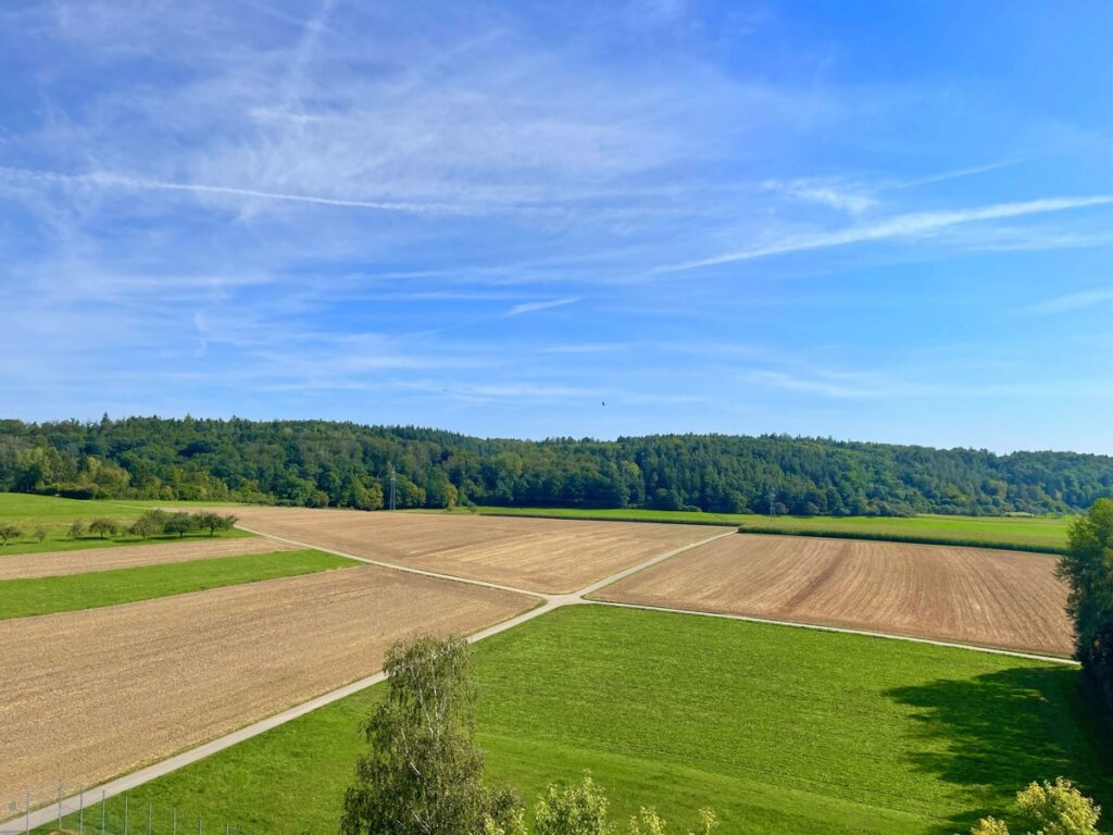 Umgebung