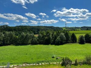 Ausblick