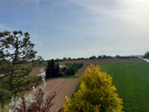 Ausblick ins Grüne