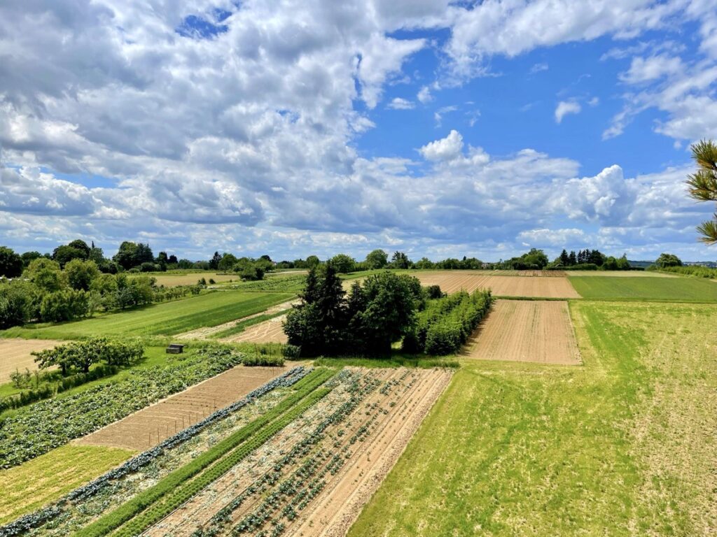 Aussicht