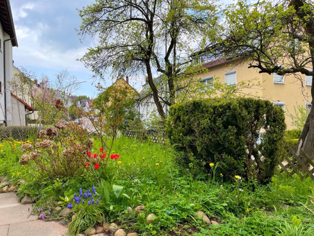 Garten vor dem Haus