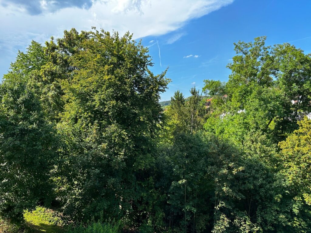 Aussicht