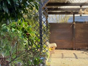 Pergola am Haus