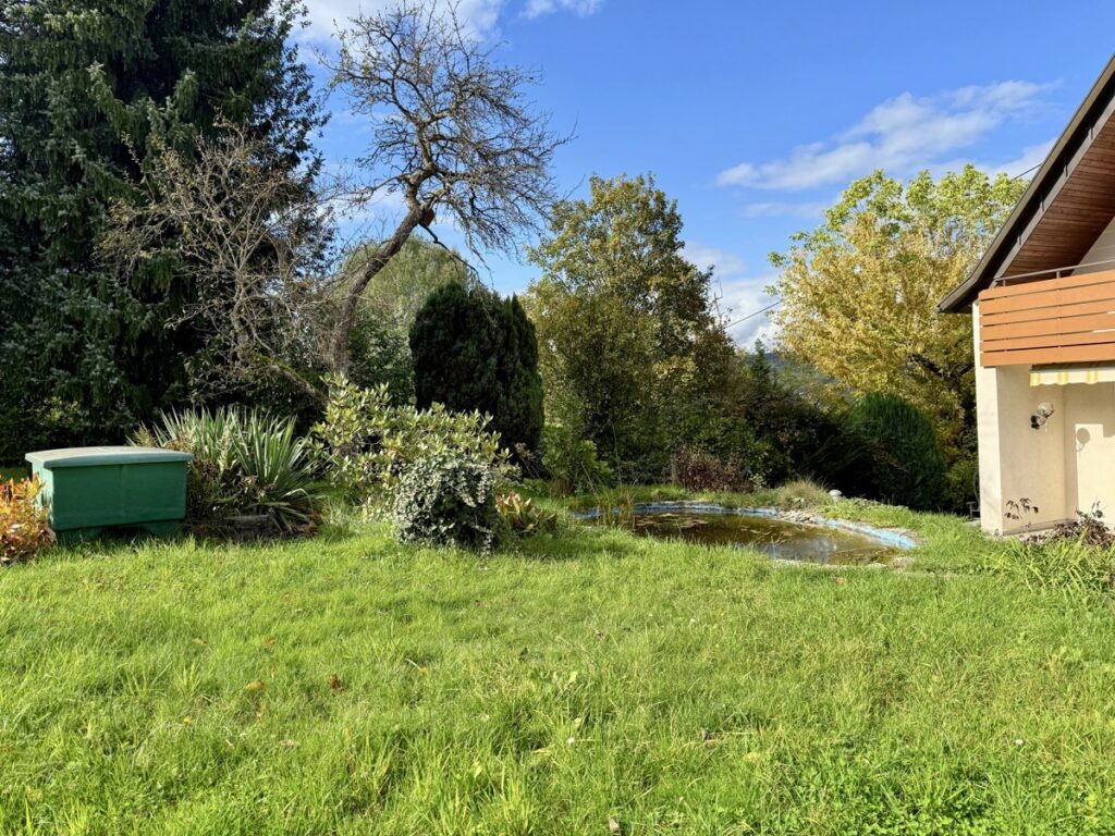 Garten mit Teich