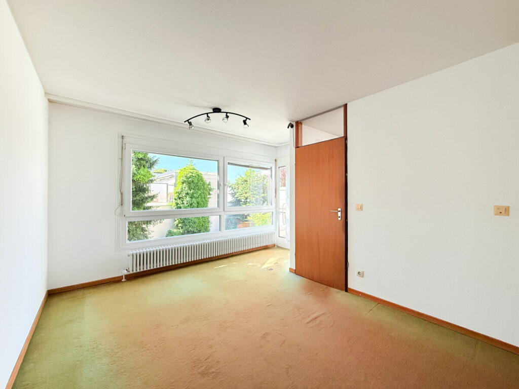 DG Studio