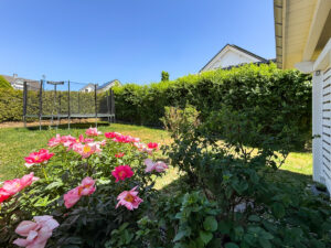 eingewachsener Garten