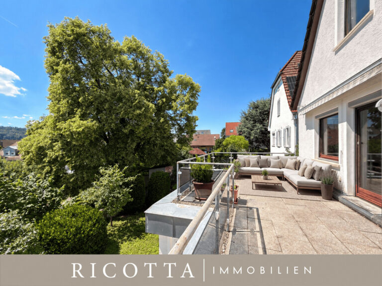 1.OG sonnige Terrasse