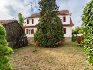 Garten mit Blick aufs Haus